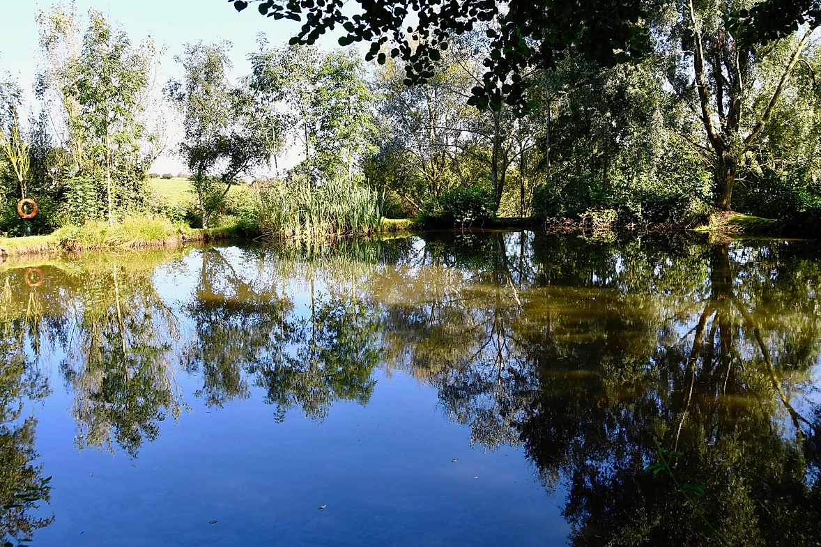 image of chorley springs