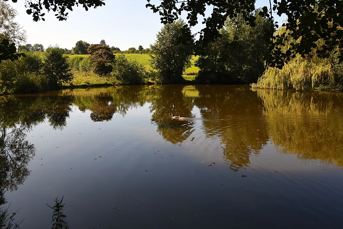 image of chorley springs