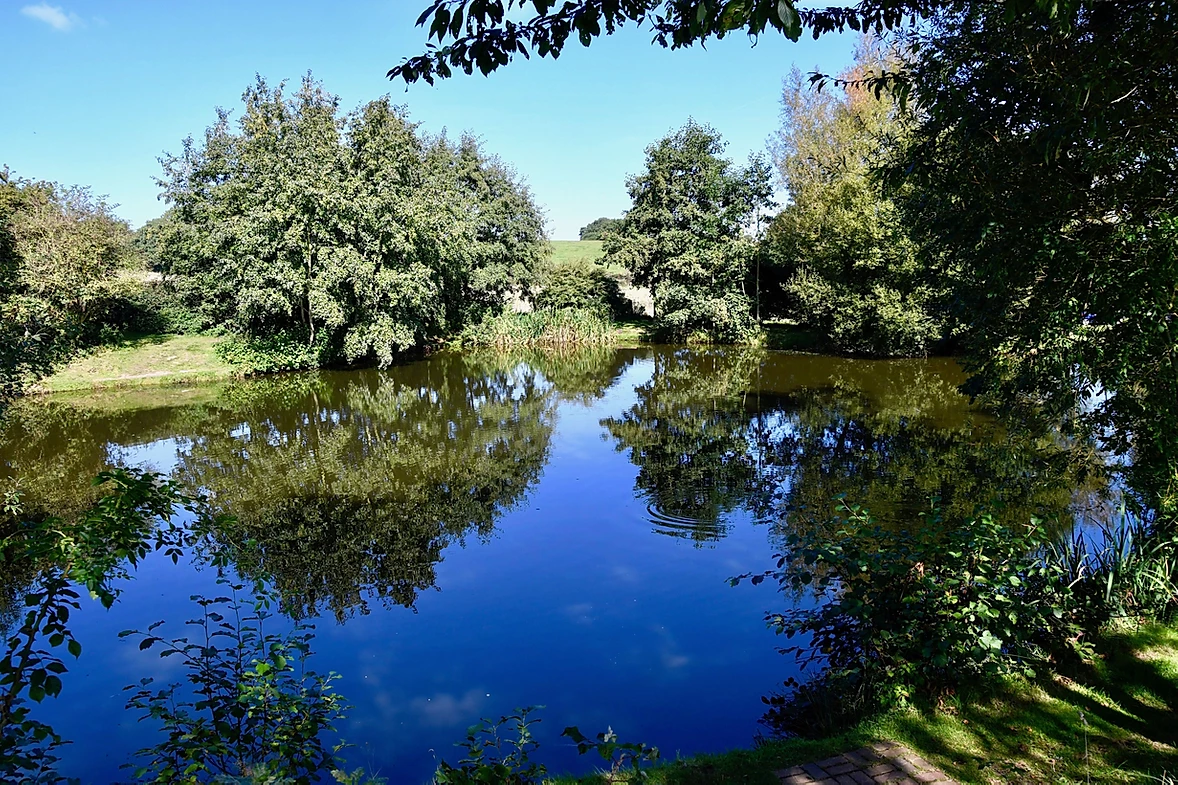 image of chorley springs