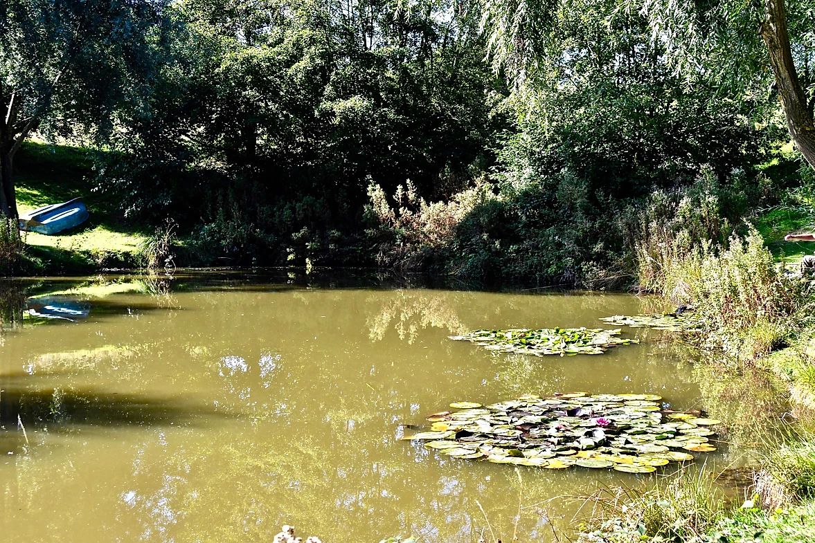 image of chorley springs