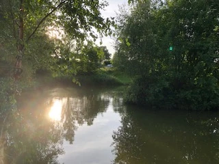 image of chorley springs