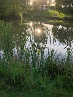 image of chorley springs