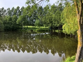 image of chorley springs