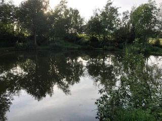 image of chorley springs