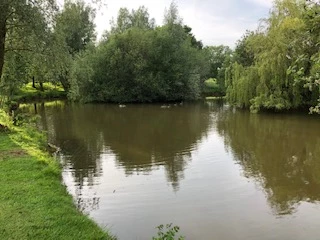 image of chorley springs