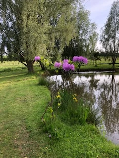 image of chorley springs