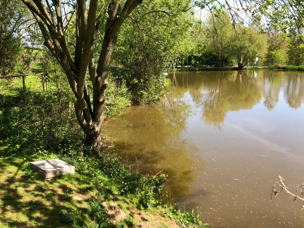 image of chorley springs