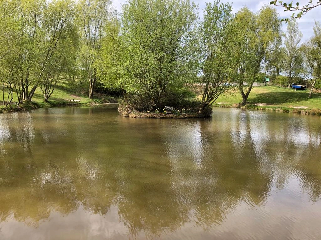 image of chorley springs