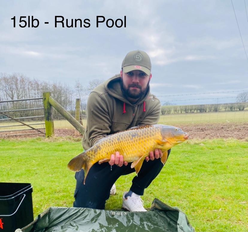 Catch @ Chorley Springs