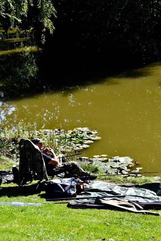 image of chorley springs