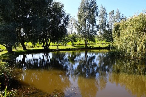 image of chorley springs