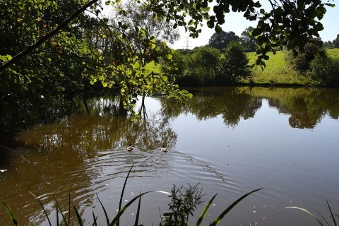 image of chorley springs