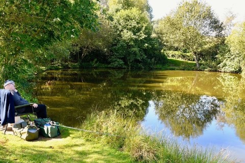 image of chorley springs