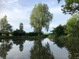 image of chorley springs