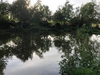 image of chorley springs