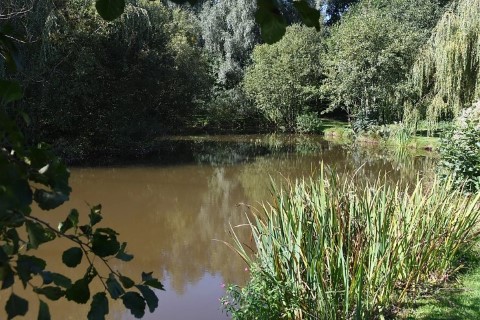 image of chorley springs