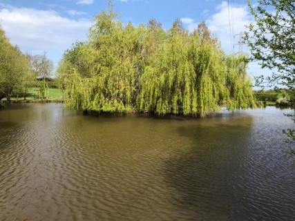 image of chorley springs