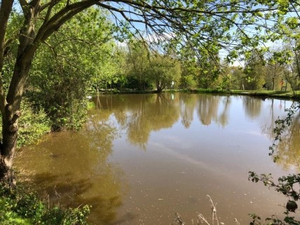 image of chorley springs