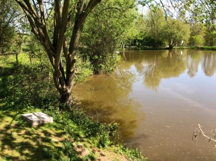 image of chorley springs