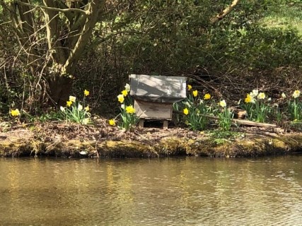 image of chorley springs